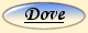 DOVE SIAMO